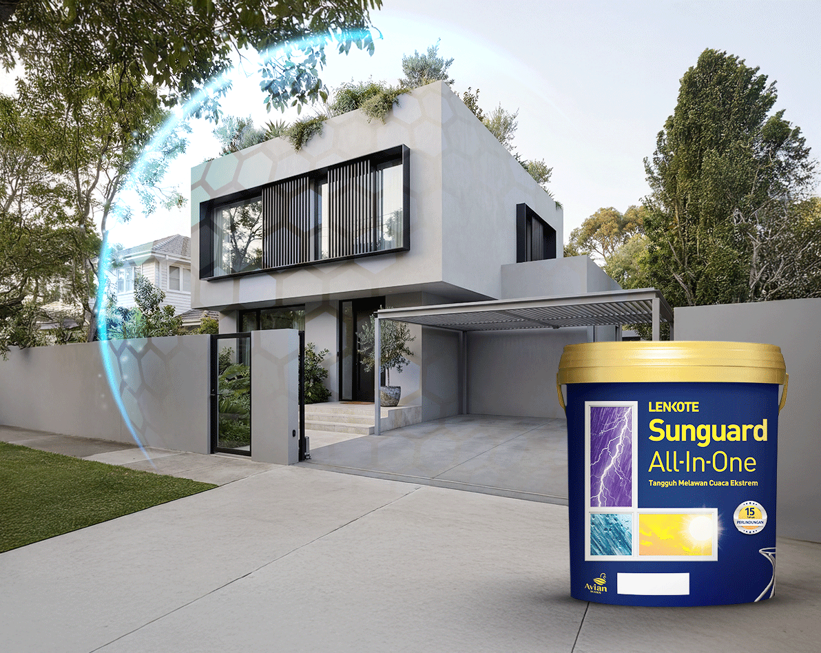 Sunguard All in One & Supersilk Anti Noda