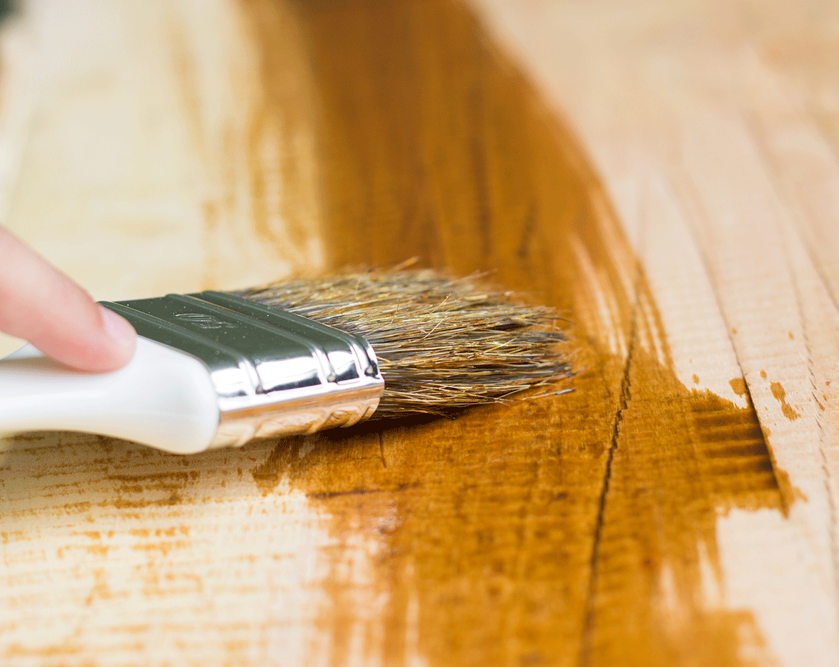 Jenis-jenis Pernis Kayu